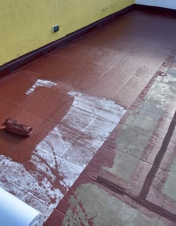 206121937_859483754657891_1693665642017788564_n