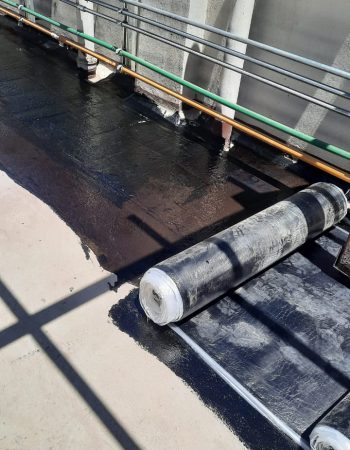 WhatsApp Image 2022-02-24 at 08.05.38