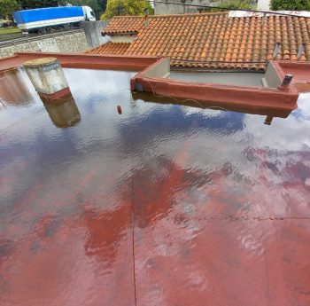 WhatsApp Image 2022-03-15 at 11.10.47 AM