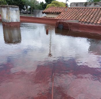 WhatsApp Image 2022-03-15 at 11.11.03 AM